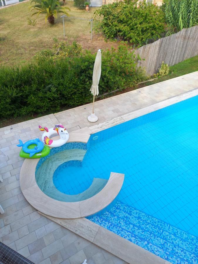 Villa Ester 카마이오레 외부 사진